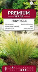 Mexican Feather Pony Tails Grass Seeds